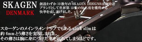SKAGEN スカーゲン 時計