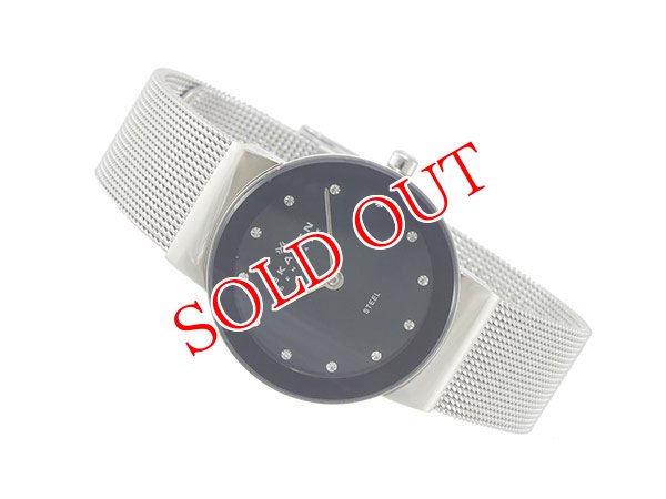 画像1: スカーゲン SKAGEN 腕時計 358SSSBD (1)