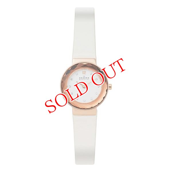 画像1: SKAGEN スカーゲン SKW2769 レオノラ レディース 腕時計 (1)