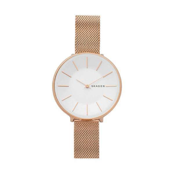 画像1: スカーゲン SKAGEN クオーツ レディース 腕時計 SKW2688 (1)