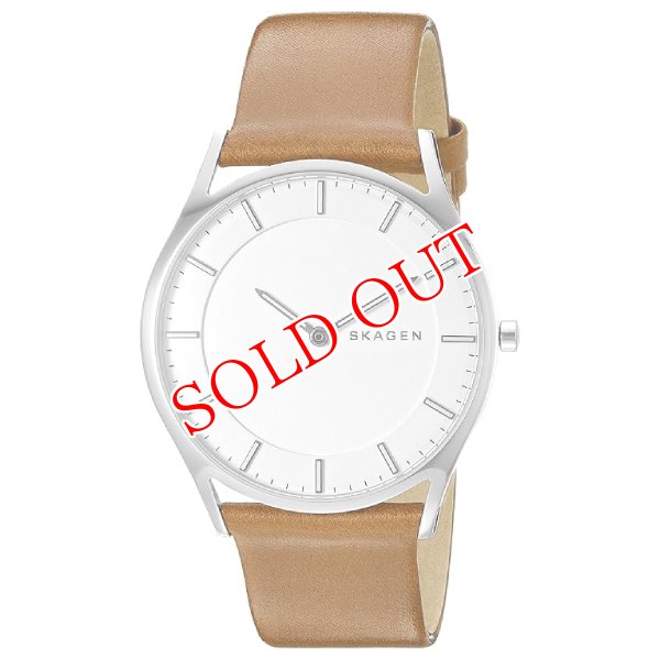 画像1: スカーゲン SKAGEN メンズ 腕時計 SKW6219 クォーツ (1)