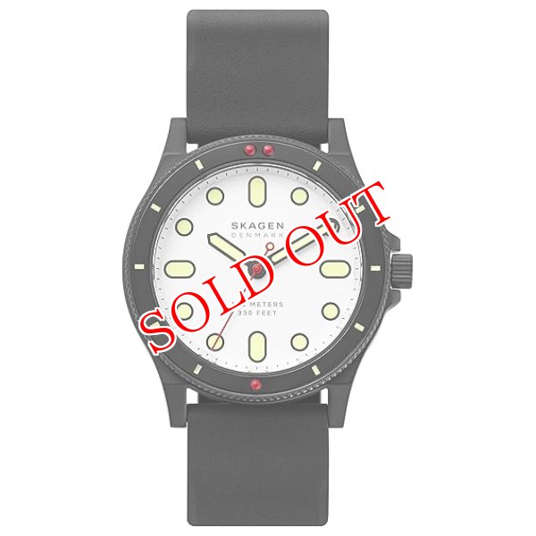 画像1: スカーゲン SKAGEN クオーツ メンズ 腕時計 SKW6667 (1)