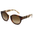 画像1: BURBERRY バーバリー 0BE4227 360113 50 サングラス メンズ レディース ユニセックス (1)