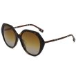 画像1: BURBERRY バーバリー 0BE4375F 4017T5 57 サングラス グローバルモデル レディース (1)