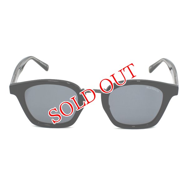 画像2: BLACK FLYS ブラックフライ BF-1325-01 サングラス ノーズパッド メンズ レディース ユニセックス (2)