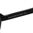 画像4: BLACK FLYS ブラックフライ BF-1325-01 サングラス ノーズパッド メンズ レディース ユニセックス (4)