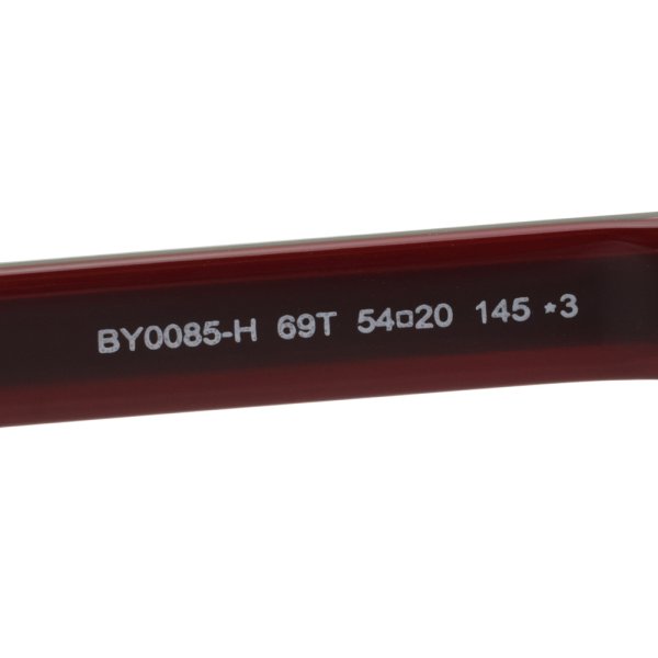 画像6: BALLY バリー BY0085-H/S 69T 54 サングラス アジアンフィット UVカット メンズ レディース ユニセックス (6)