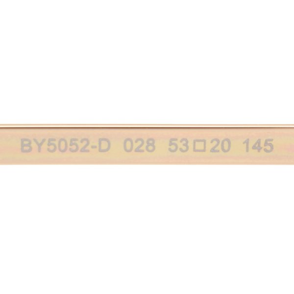 画像6: BALLY バリー BY5052-D/V 028 53 フレーム メガネ 眼鏡 フレームのみ ノーズパッド メンズ レディース (6)