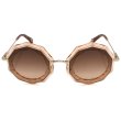 画像2: Chloe クロエ CE160S-724 サングラス UVカット レディース (2)