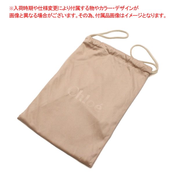 画像7: Chloe クロエ CH0072S-007 ゴーグル スキーマスク スノボ スノーボード アウトドア UV対策 メンズ レディース (7)