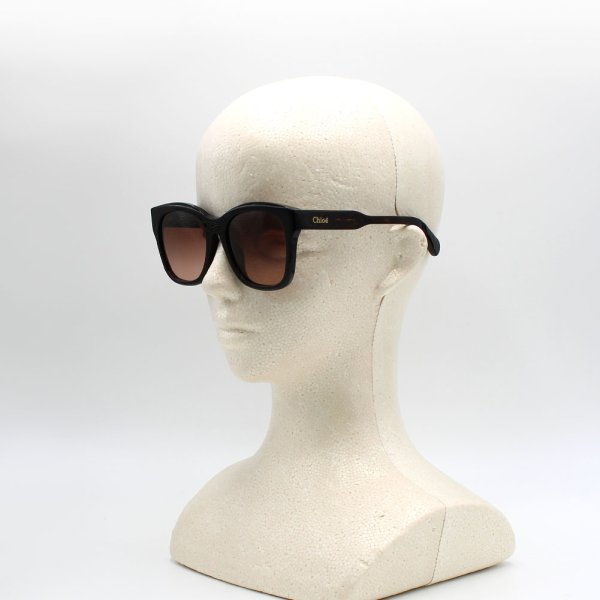 画像6: Chloe クロエ CH0194SK-002 サングラス アジアンフィット メンズ レディース ユニセックス (6)