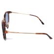 画像3: Calvin Klein カルバンクライン CK18709SA-240 cK サングラス UVカット メンズ レディース (3)