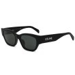 画像1: CELINE セリーヌ　CL40197U 5401A　サングラス アジアンフィット レディース (1)