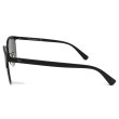 画像3: EMPORIO ARMANI エンポリオ アルマーニ 0EA2083D 30016R 55 マット サングラス メンズ レディース (3)