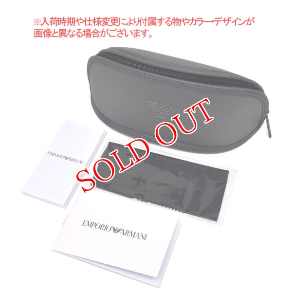 画像6: EMPORIO ARMANI エンポリオ アルマーニ 0EA2083D 30016R 55 マット サングラス メンズ レディース (6)