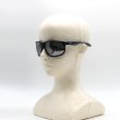 画像6: EMPORIO ARMANI エンポリオ アルマーニ 0EA4199U 5088Z3 65 マット 偏光レンズ サングラス メンズ (6)