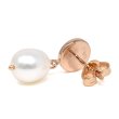 画像3: EMPORIO ARMANI エンポリオアルマーニ EG3432221 ピアス earrings レディース (3)