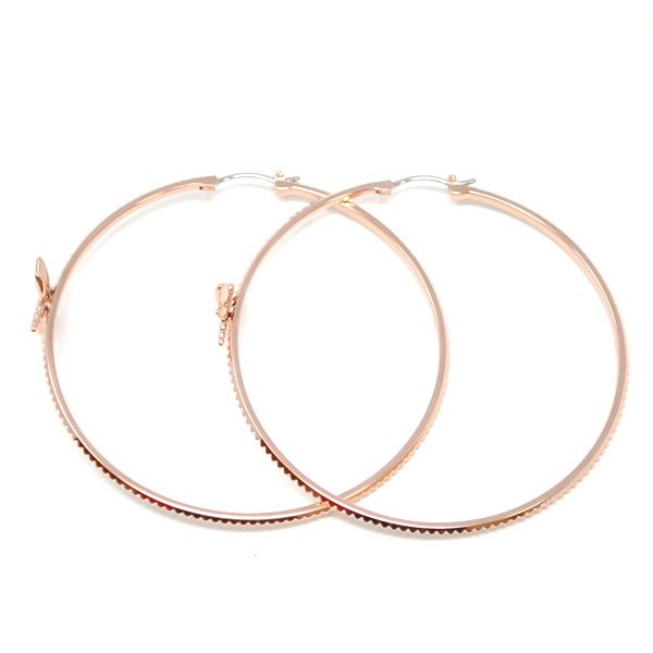 画像2: EMPORIO ARMANI エンポリオアルマーニ EGS2562221 ピアス メンズ レディース (2)