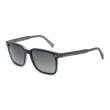 画像1: ZEGNA ゼニア EZ0062/S 05B 56 Ermenegildo Zegna エルメネジルド・ゼニア サングラス グローバルモデル UVカット メンズ レディース ユニセックス (1)