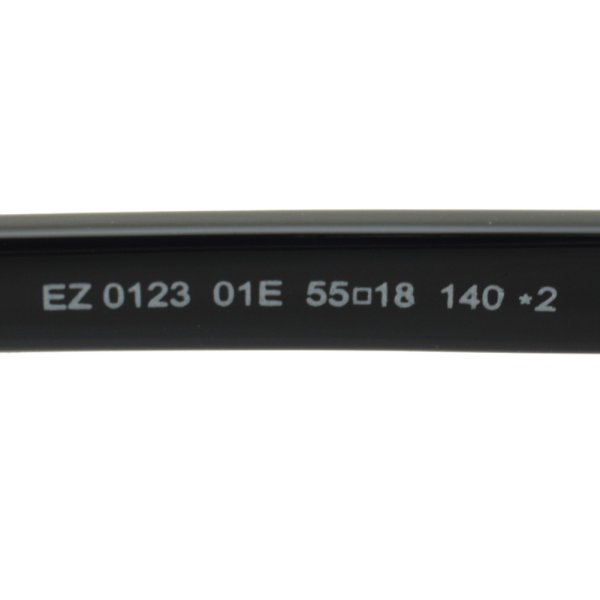 画像7: ZEGNA ゼニア EZ0123/S 01E 55 Ermenegildo Zegna エルメネジルド・ゼニア サングラス UVカット メンズ レディース ユニセックス (7)