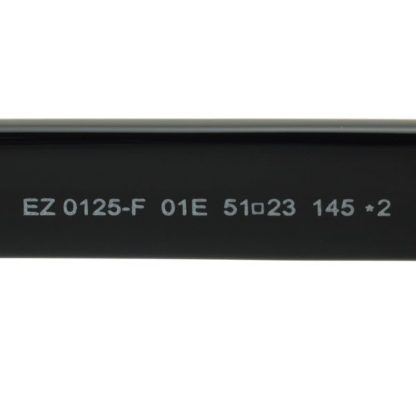 画像6: ZEGNA ゼニア EZ0125-F/S 01E 51 Ermenegildo Zegna エルメネジルド・ゼニア サングラス ノーズパッド UVカット メンズ (6)