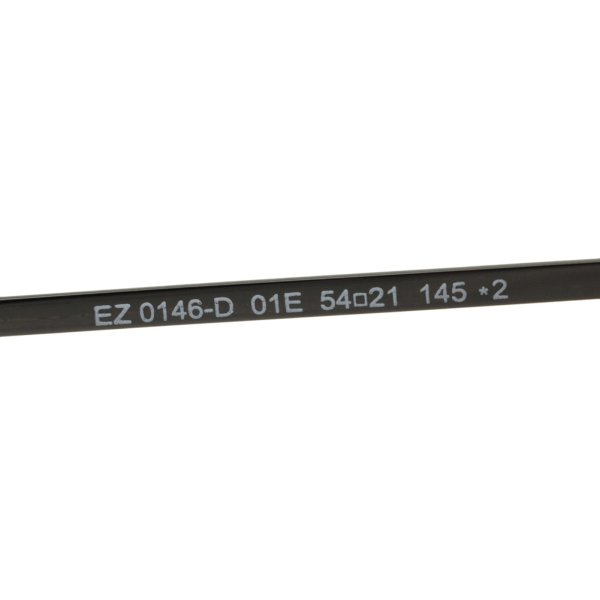 画像5: ZEGNA ゼニア EZ0146-D/S 01E 54 Ermenegildo Zegna エルメネジルド・ゼニア サングラス ノーズパッド UVカット メンズ (5)