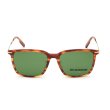 画像2: ZEGNA ゼニア EZ0206-F/S 52N 56 Ermenegildo Zegna エルメネジルド・ゼニア サングラス アジアンフィット UVカット メンズ (2)