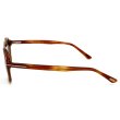 画像3: TOM FORD トムフォード FT0556/S 53N 53 サングラス グローバルフィット メンズ レディース ユニセックス (3)