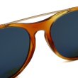 画像5: TOM FORD トムフォード FT0556/S 53N 53 サングラス グローバルフィット メンズ レディース ユニセックス (5)