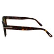 画像3: TOM FORD トムフォード FT0590/S 52N 51 サングラス グローバルフィット メンズ レディース ユニセックス (3)