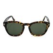 画像2: TOM FORD トムフォード FT0590F/S 55N 53 サングラス アジアンフィット メンズ レディース ユニセックス (2)