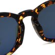 画像5: TOM FORD トムフォード FT0590F/S 55N 53 サングラス アジアンフィット メンズ レディース ユニセックス (5)