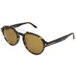 画像1: TOM FORD トムフォード FT0696-F-52E-55 サングラス アジアンフィット TF696-F Stan メンズ (1)