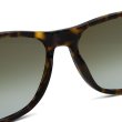 画像5: TOM FORD トムフォード FT0813/S 52G 55 サングラス グローバルフィット メンズ レディース ユニセックス (5)