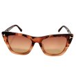 画像2: TOM FORD トムフォード FT0846F-56T-53 サングラス EYEWEAR FT826 レディース (2)