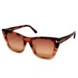 画像6: TOM FORD トムフォード FT0846F-56T-53 サングラス EYEWEAR FT826 レディース (6)