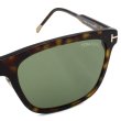 画像4: TOM FORD トムフォード FT0955-D 52N 57 サングラス EYEWEAR アジアンフィット メンズ レディース ユニセックス (4)