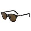 画像8: TOM FORD トムフォード FT1049-D/S 01J 50 サングラス EYEWEAR アジアンフィット メンズ レディース ユニセックス (8)