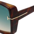 画像4: TOM FORD トムフォード FT1117/S 53P 63 サングラス EYEWEAR グローバルフィット メンズ レンズ ユニセックス (4)