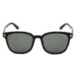画像2: TOM FORD トムフォード FT1131-K/S 01A 54 サングラス EYEWEAR アジアンフィット メンズ レディース ユニセックス　 (2)