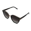 画像7: TOM FORD トムフォード FT1138-K/S 01B 55 サングラス EYEWEAR アジアンフィット メンズ レディース ユニセックス (7)