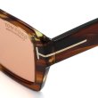 画像4: TOM FORD トムフォード FT1153/S 55E 56 サングラス EYEWEAR 調光レンズ グローバルフィット メンズ レンズ ユニセックス (4)