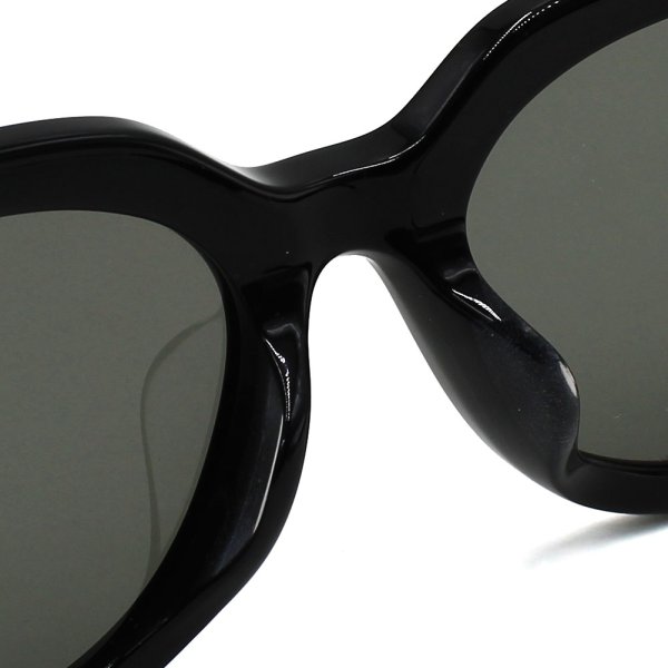 画像5: TOM FORD トムフォード FT1170-K/S 01A 54 サングラス EYEWEAR アジアンフィット メンズ レディース ユニセックス　 (5)