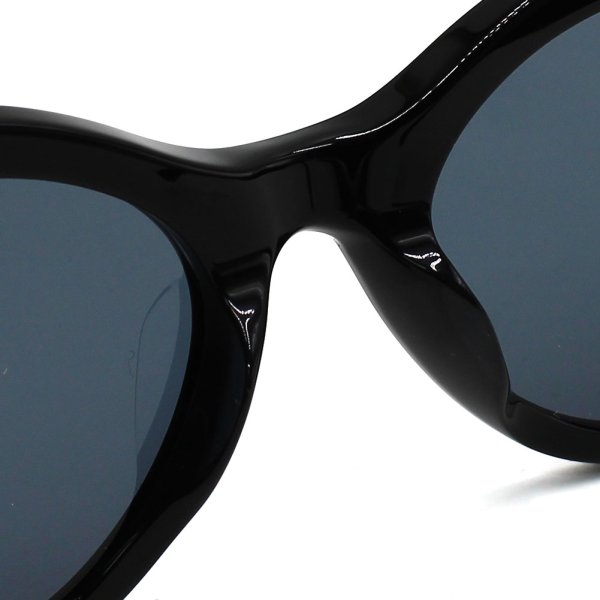 画像5: TOM FORD トムフォード FT1171-K/S 01A 53 サングラス EYEWEAR アジアンフィット レディース (5)