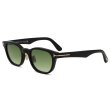 画像1: TOM FORD トムフォード FT1231-D/S 01P 49 サングラス EYEWEAR アジアンフィット メンズ レディース ユニセックス (1)