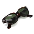 画像7: TOM FORD トムフォード FT1273-D/S 53N 54 サングラス EYEWEAR アジアンフィット メンズ レディース ユニセックス (7)