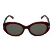 画像2: TOM FORD トムフォード FT1293-K/S 69A 54 サングラス EYEWEAR アジアンフィット メンズ レディース ユニセックス (2)