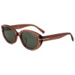 画像1: TOM FORD トムフォード FT1296-K/S 48A 54 サングラス EYEWEAR アジアンフィット メンズ レディース ユニセックス (1)