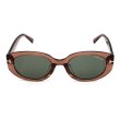 画像2: TOM FORD トムフォード FT1296-K/S 48A 54 サングラス EYEWEAR アジアンフィット メンズ レディース ユニセックス (2)