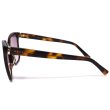 画像3: GUCCI グッチ GG0459SA-003 サングラス アジアンフィット メンズ レディース (3)